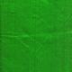 Parrot Green 100 gms Pure Raw Silk Fabric