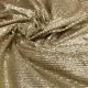 Beige Net Fabric with Gold Sequence Embroidery
