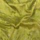  Mehandi Green Tissue Fabric with Floral Zari Embroidery 