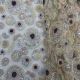  Pastel Yellow Net Fabric Floral Embroidery 60 Inches Width 