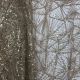  Beige Net Fabric Sequins Embroidery 60 Inches Width 