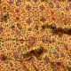 Mustard Yellow Gajji Mashru Silk Fabric with Floral Print