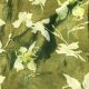  Light Green Floral Printed Shimmer Pure Tissue Fabric 