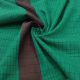 Green South Cotton Fabric with Checks Print