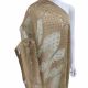 Parrot Green Net Dupatta with Embroidery