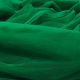 Green Swiss Net Fabric