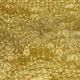 Beige & Gold Zari Embroidered Net Fabric
