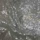 Silver Sequins Embroidery Sheet Georgette Fabric